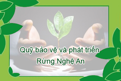 Quyết định Số 4638/2012/QĐ-UBND ngày 16/11/2012 về việc ban hành Quy chế tổ chức và hoạt động của Hội đồng quản lý Quỹ bảo vệ và phát triển rừng tỉnh Nghệ An