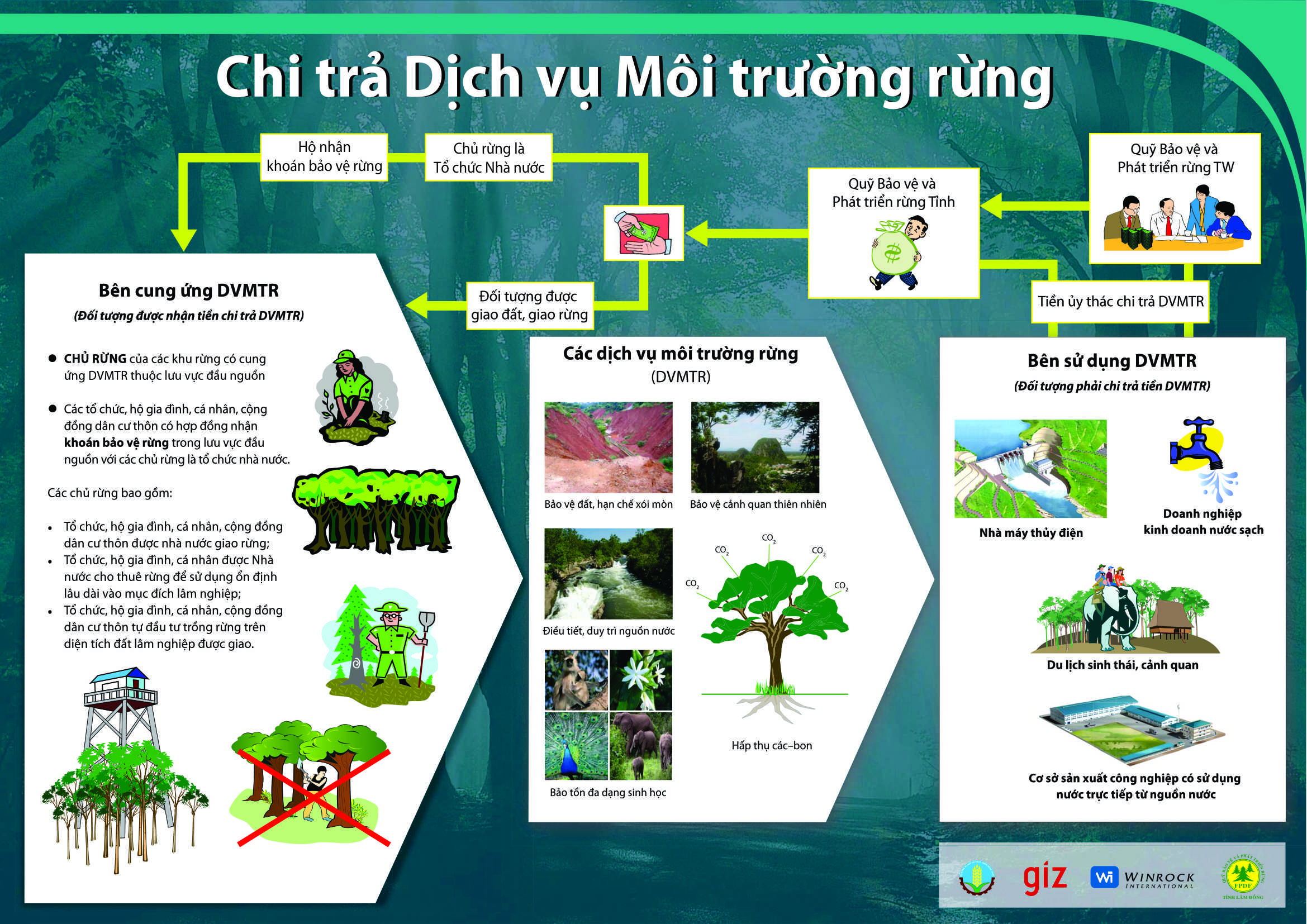 Quy trình Chi trả dịch vụ môi trường rừng tại tỉnh Nghệ An