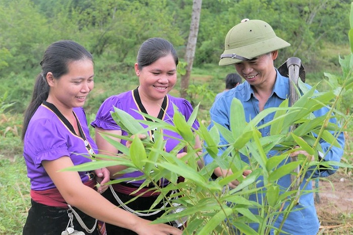 Thông tin hoạt động của dự án Flourish tháng 6.2020