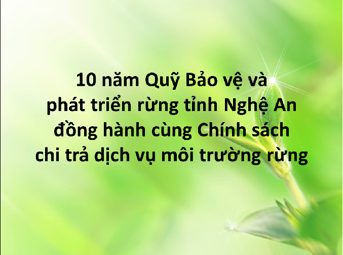 10 năm Quỹ Bảo vệ và phát triển rừng tỉnh Nghệ An đồng hành cùng Chính sách chi trả dịch vụ môi trường rừng