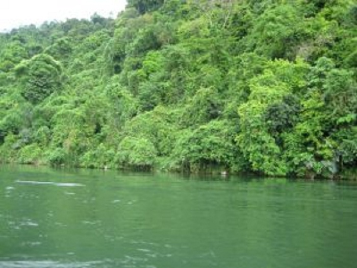 Hoạt động mở rộng nguồn thu dịch vụ môi trường rừng tại Nghệ An